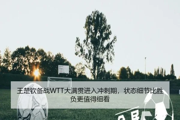 王楚钦备战WTT大满贯进入冲刺期，状态细节比胜负更值得细看